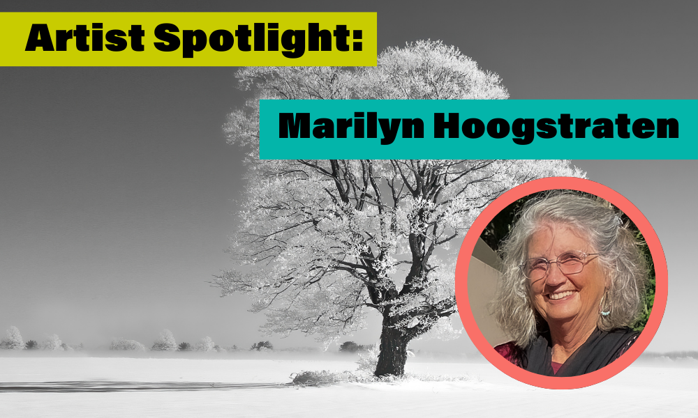 Marilyn Hoogstraten Artist Q & A